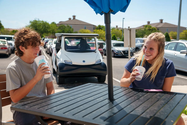 Solar Transport Systems